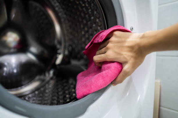 Lombard, IL Mold Removal Company