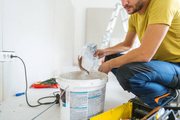 Best Crawl Space Mold Remediation  in Lombard, IL
