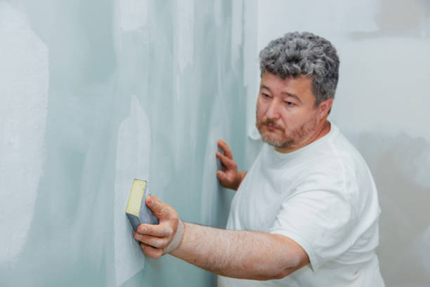Best Mold Damage Restoration  in Lombard, IL