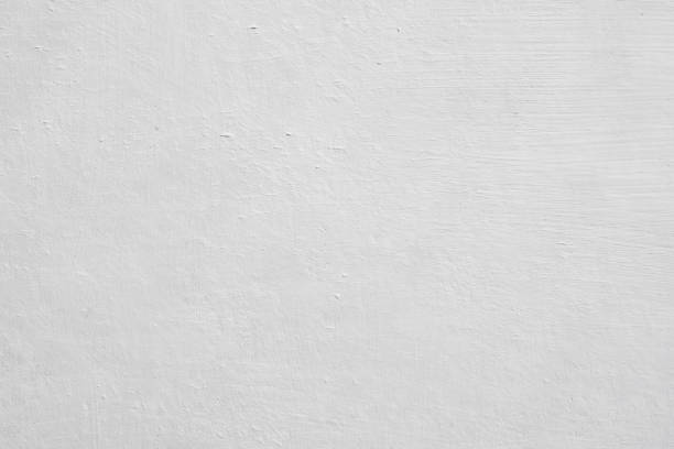 Best Mold Prevention Services  in Lombard, IL